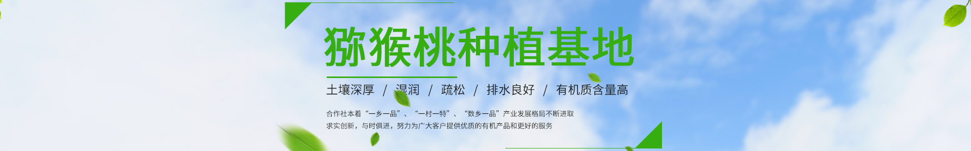 绿色食品蔬菜果蔬鲜果配送类网站(带手机端)