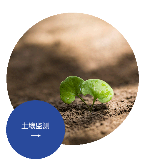 土壤